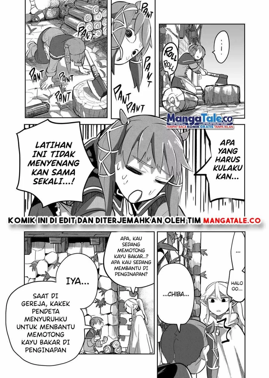 Halaman 17