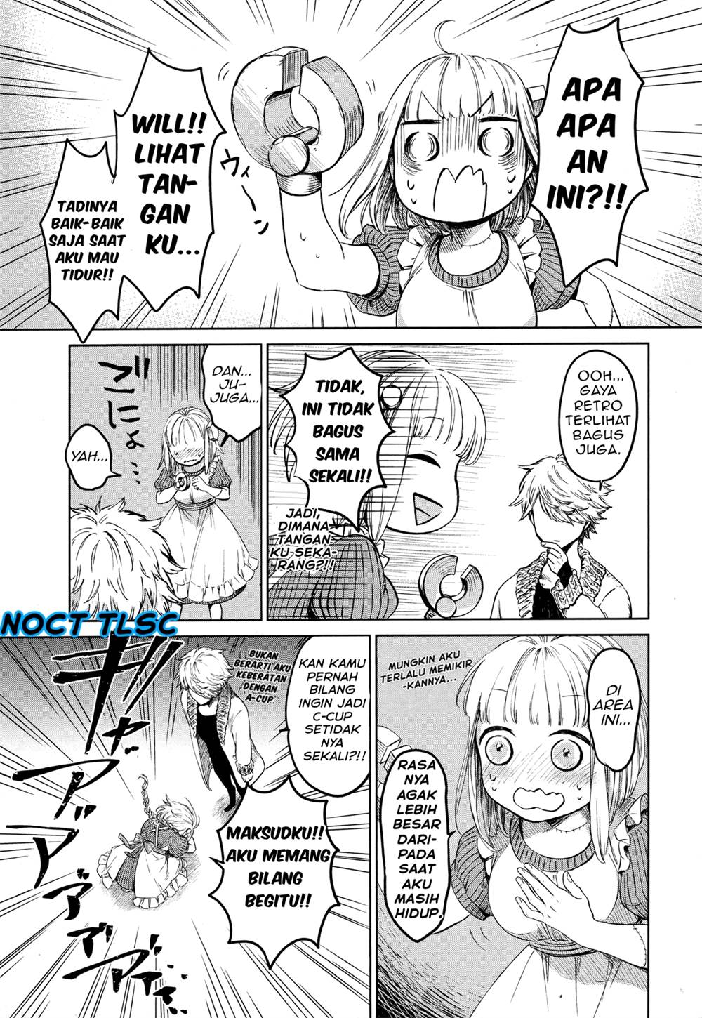Halaman 17