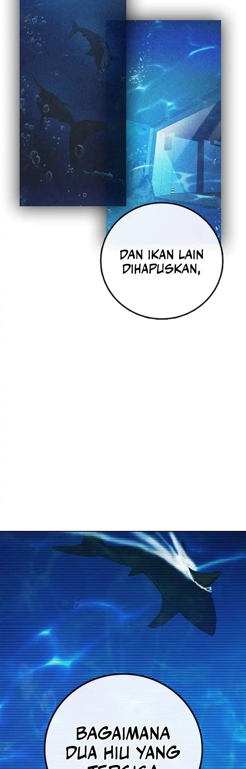 Halaman 113