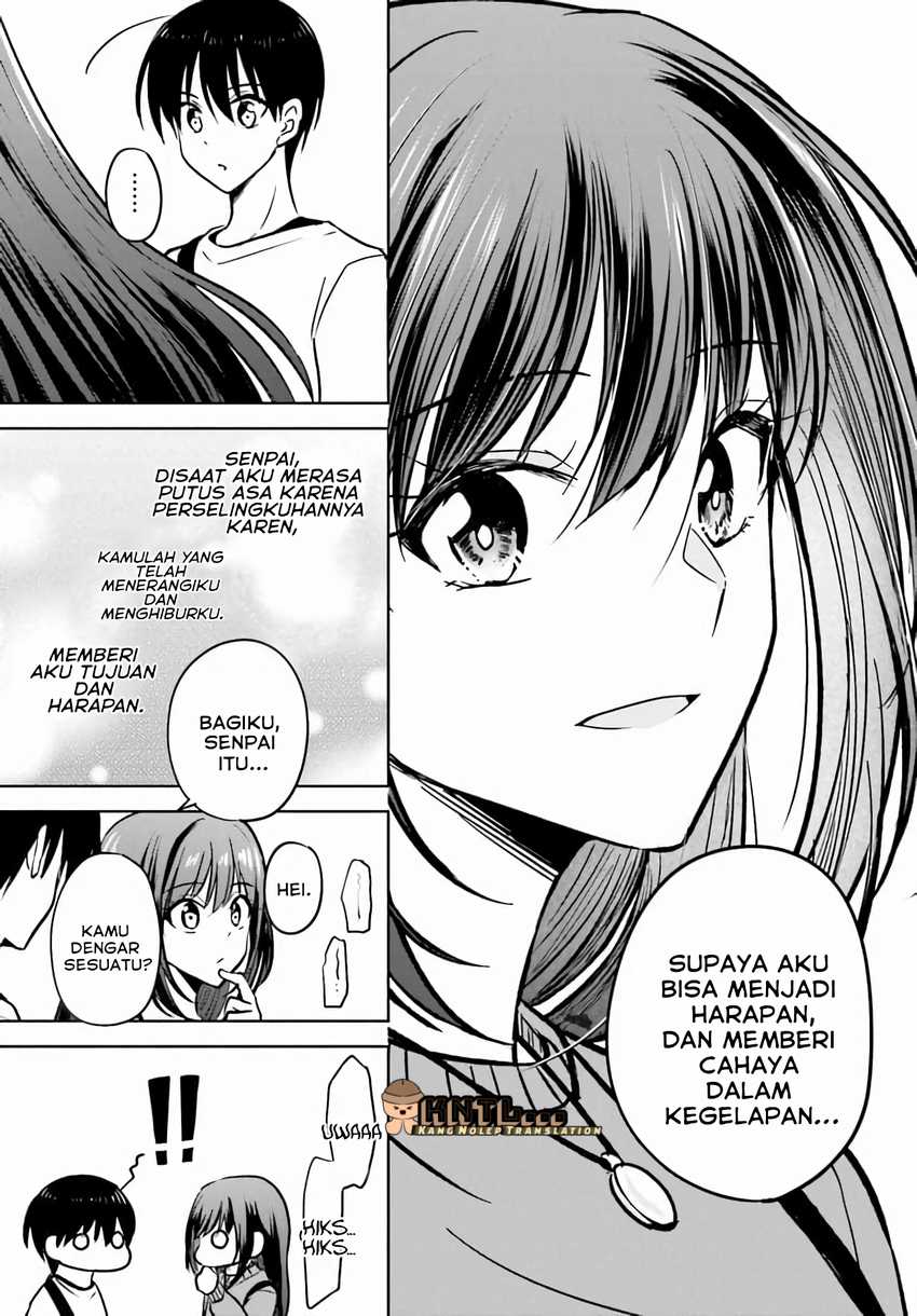Halaman 17