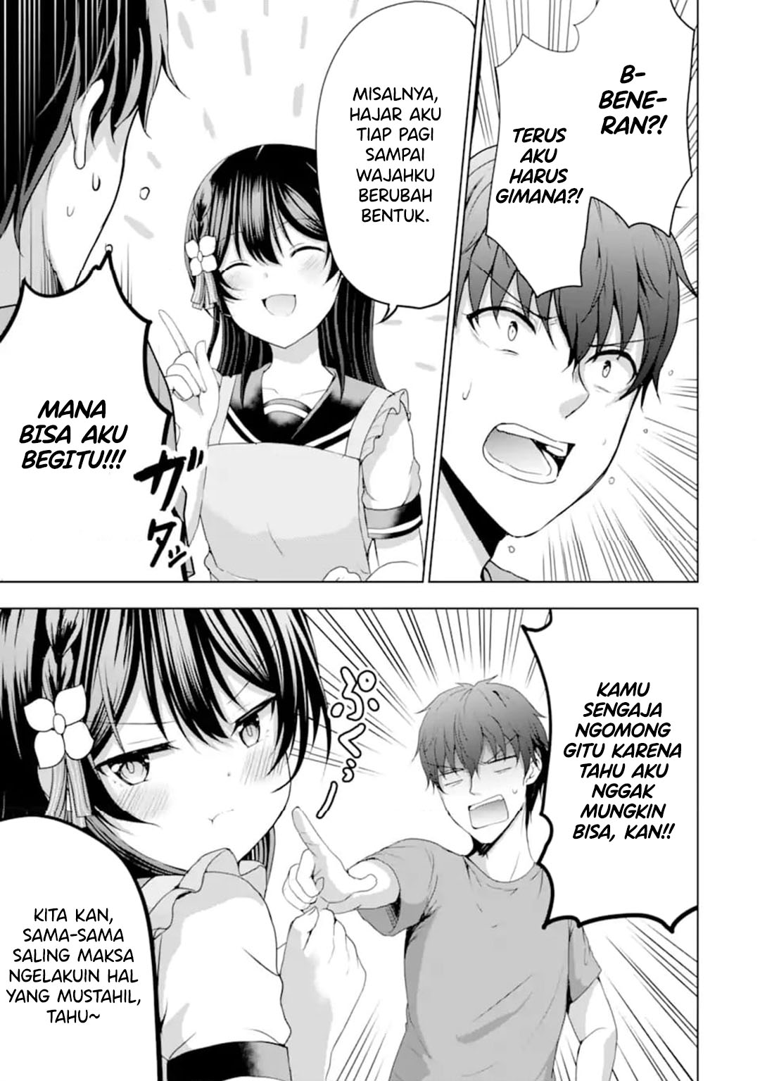 Halaman 17