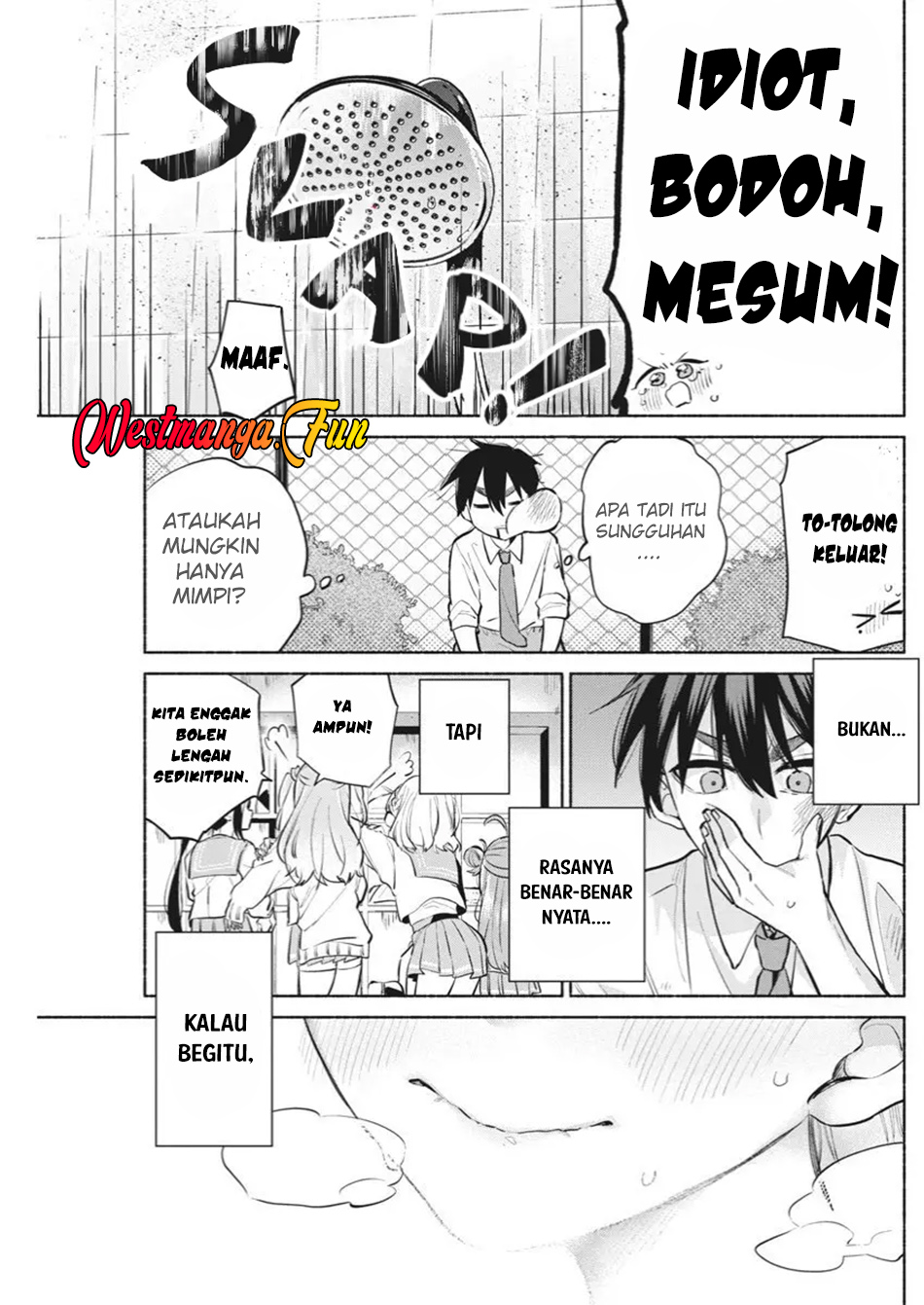 Halaman 43