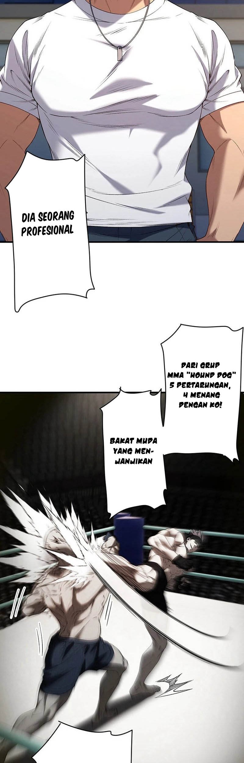 Halaman 29