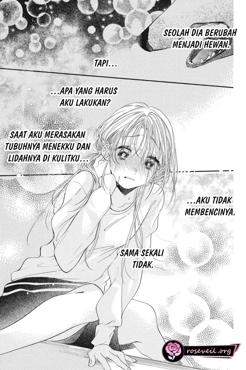 Halaman 51