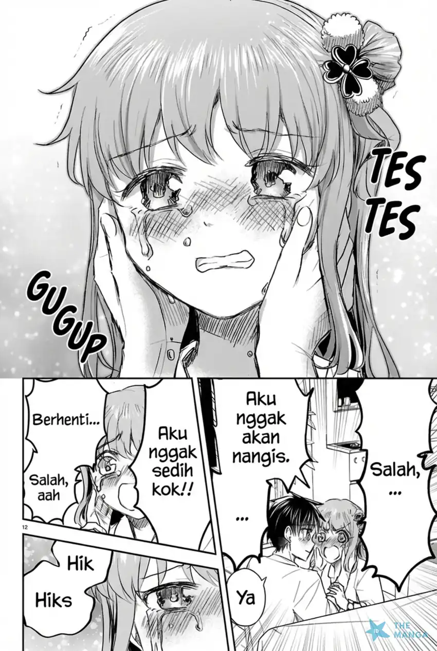 Halaman 13