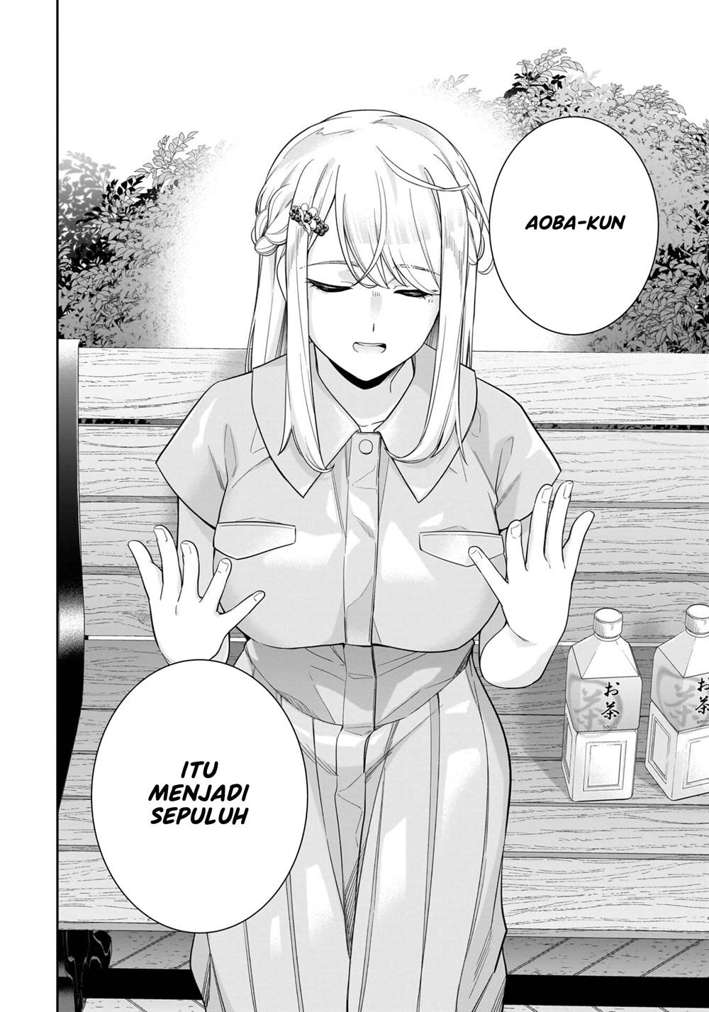 Halaman 17