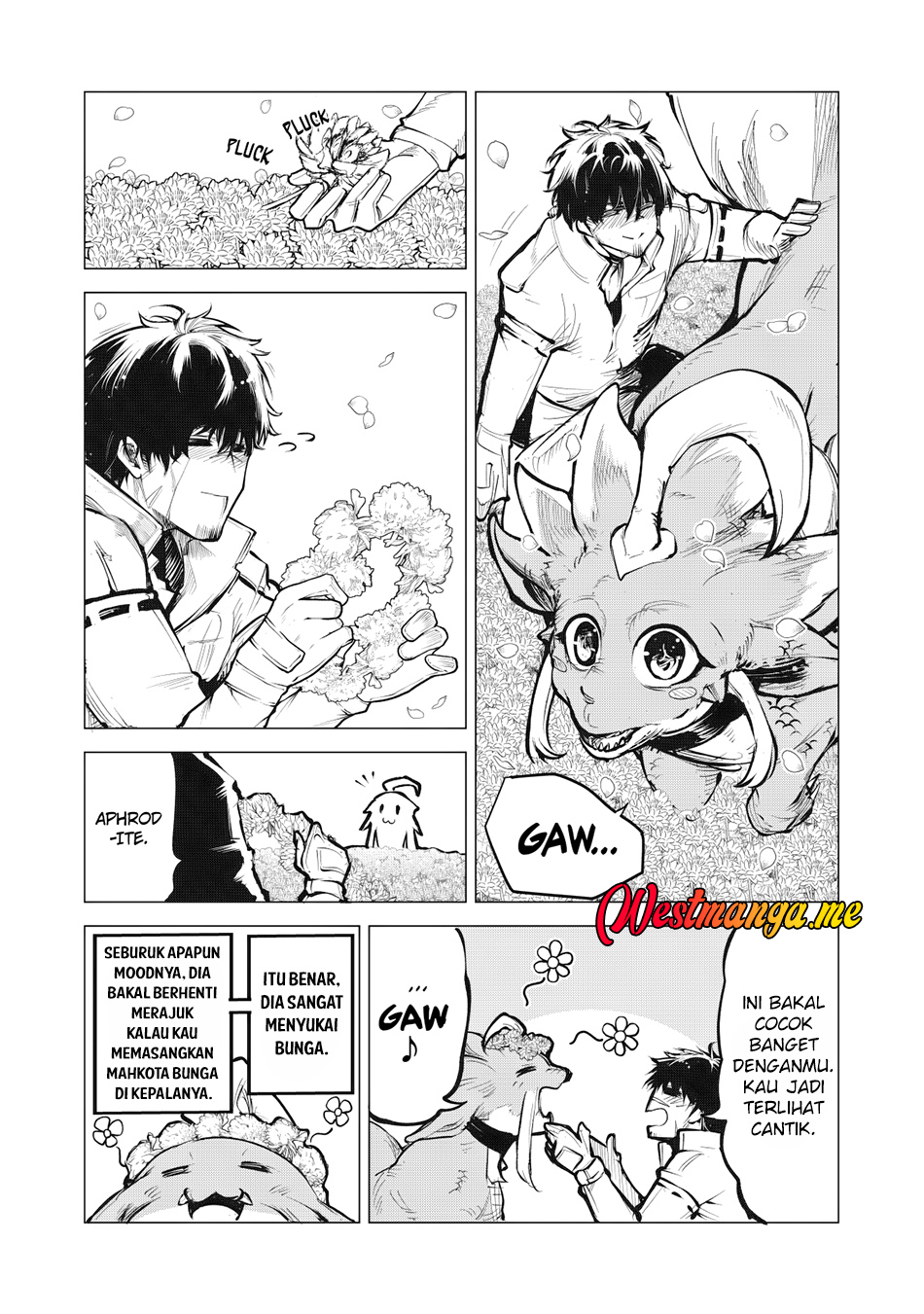 Halaman 21