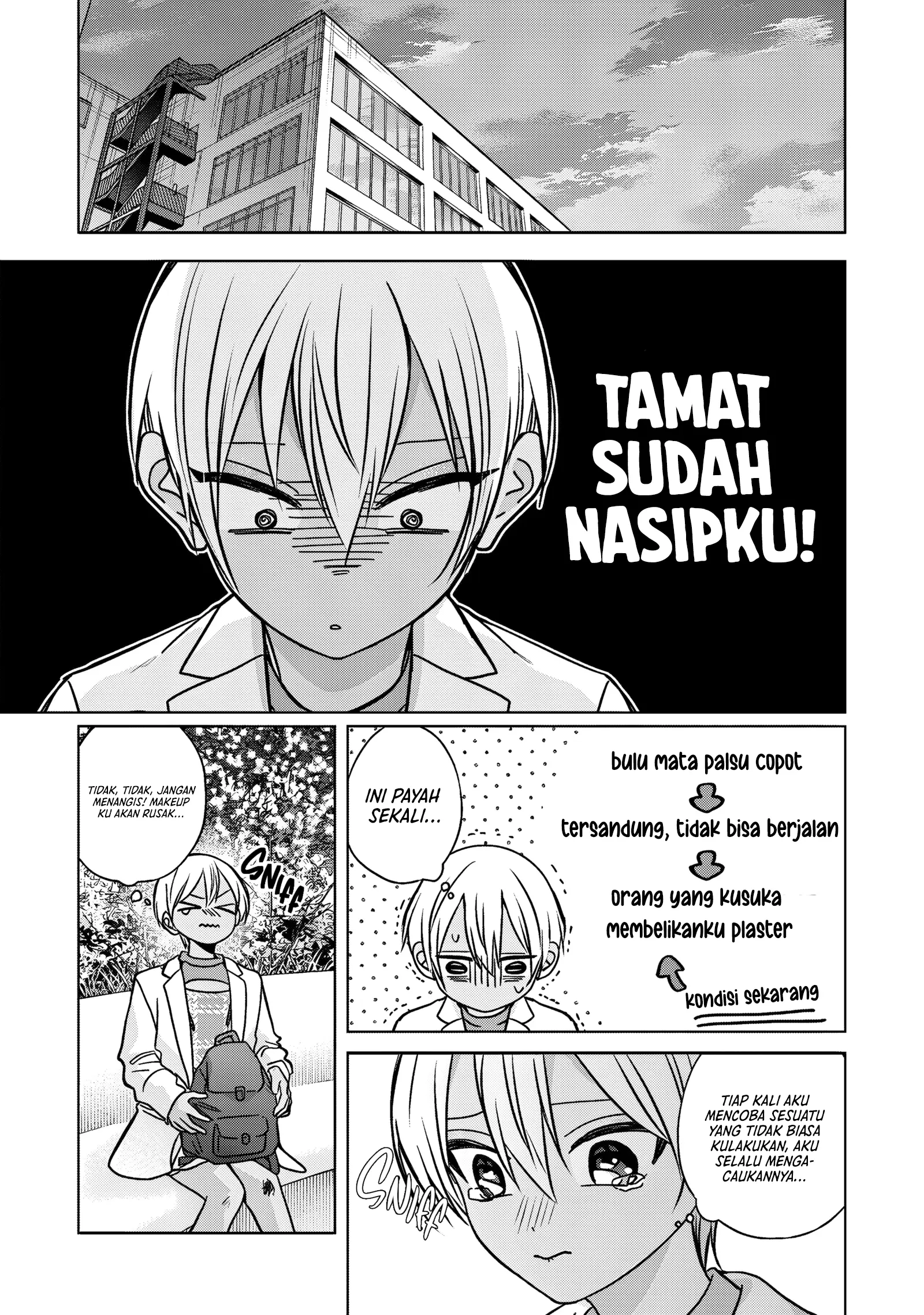 Halaman 17