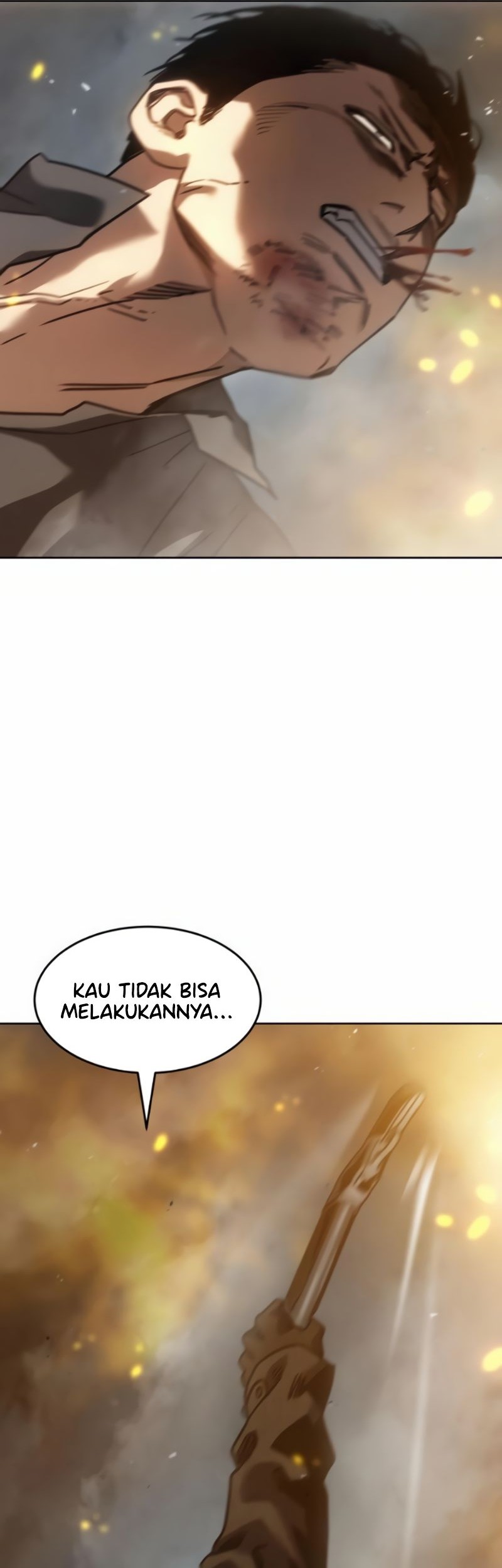 Halaman 295