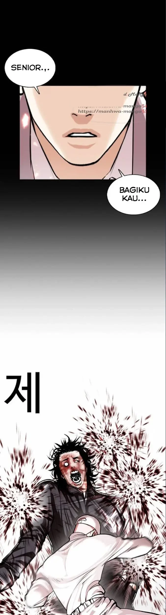 Halaman 43