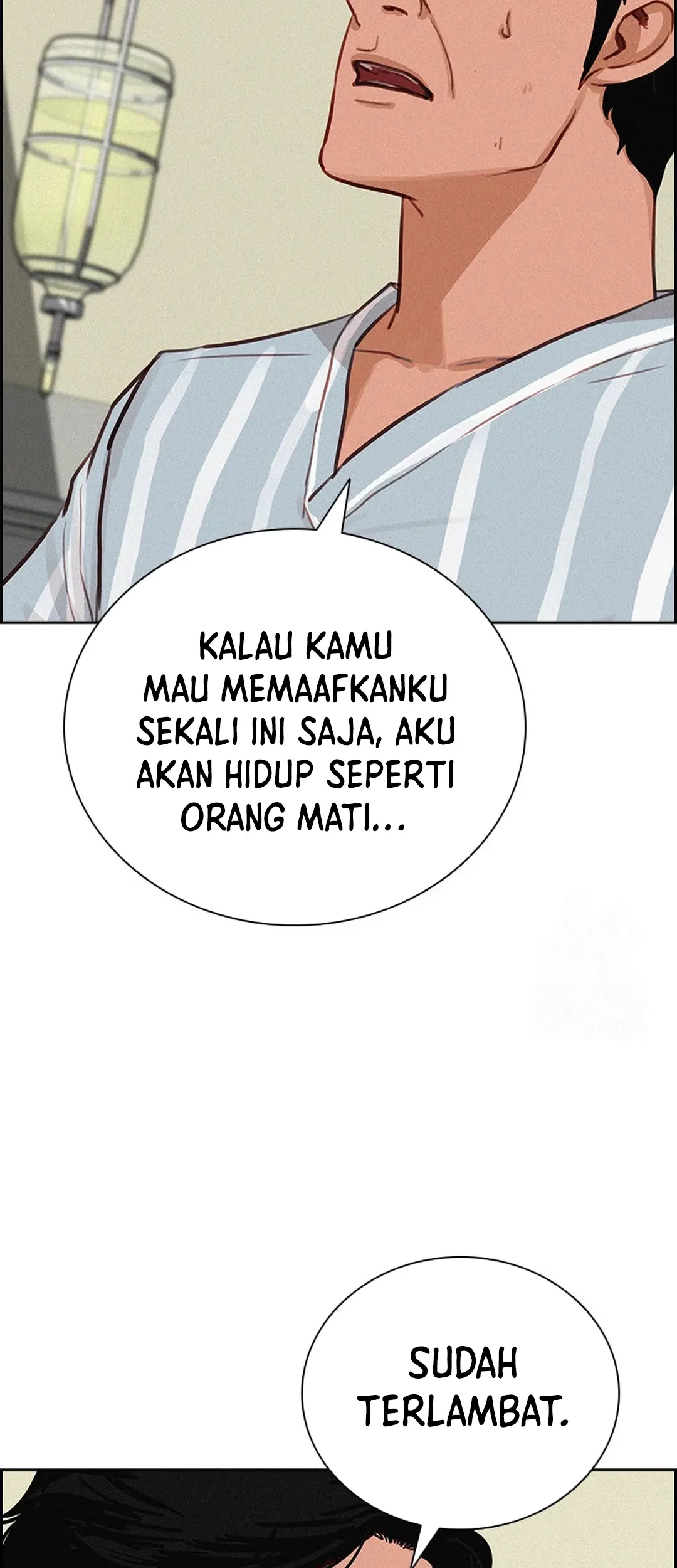 Halaman 253