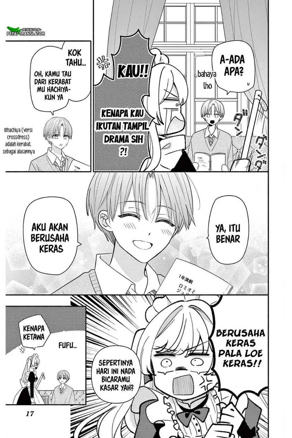 Halaman 17
