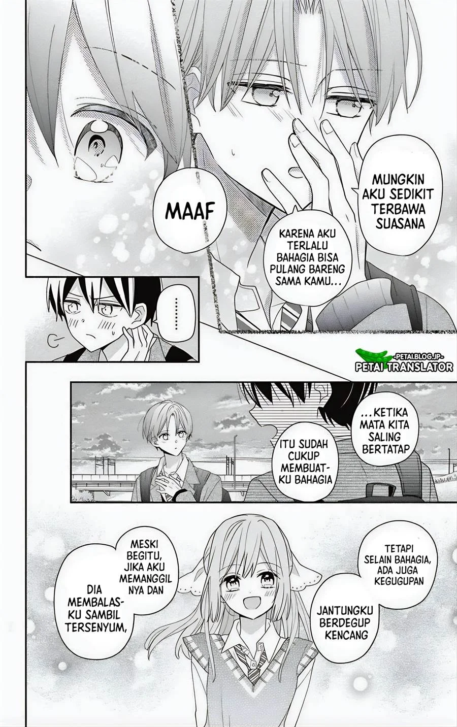 Halaman 17