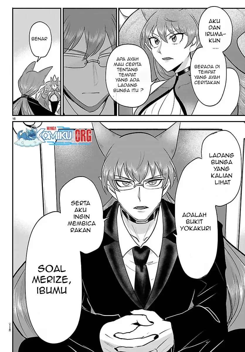 Halaman 17