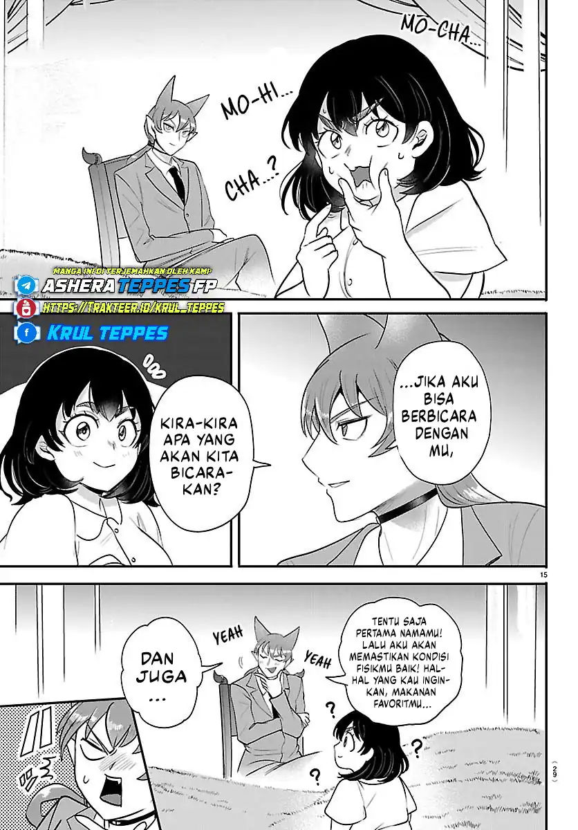 Halaman 17