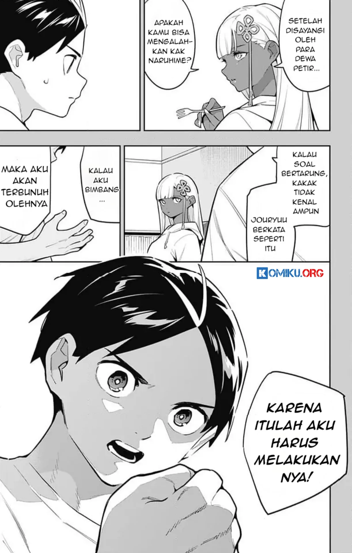 Halaman 17