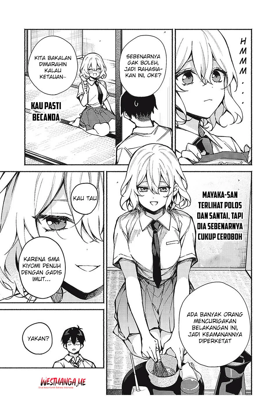Halaman 17