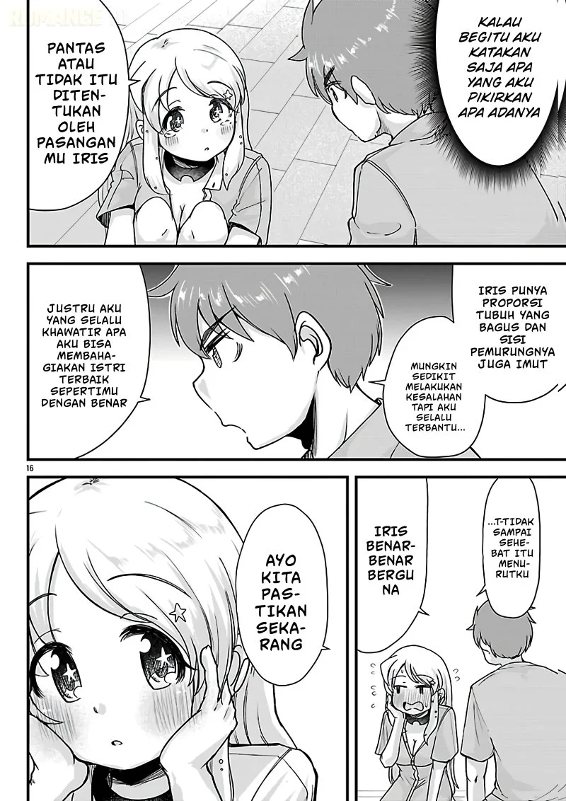 Halaman 17