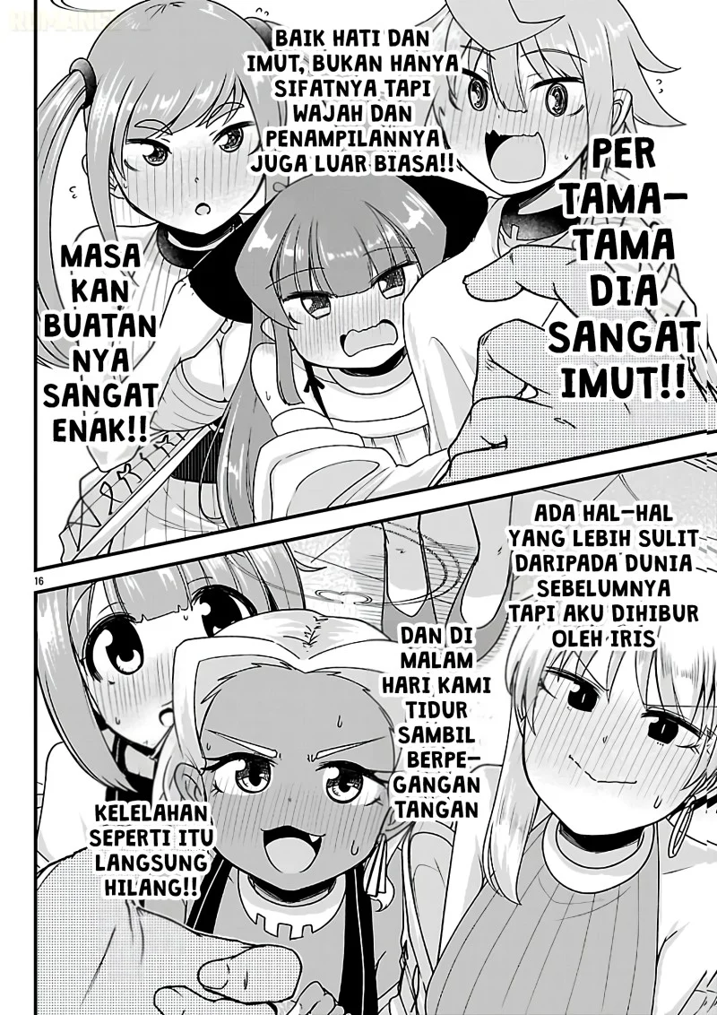 Halaman 17