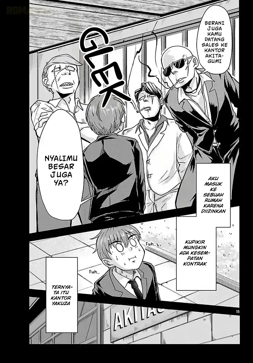Halaman 17