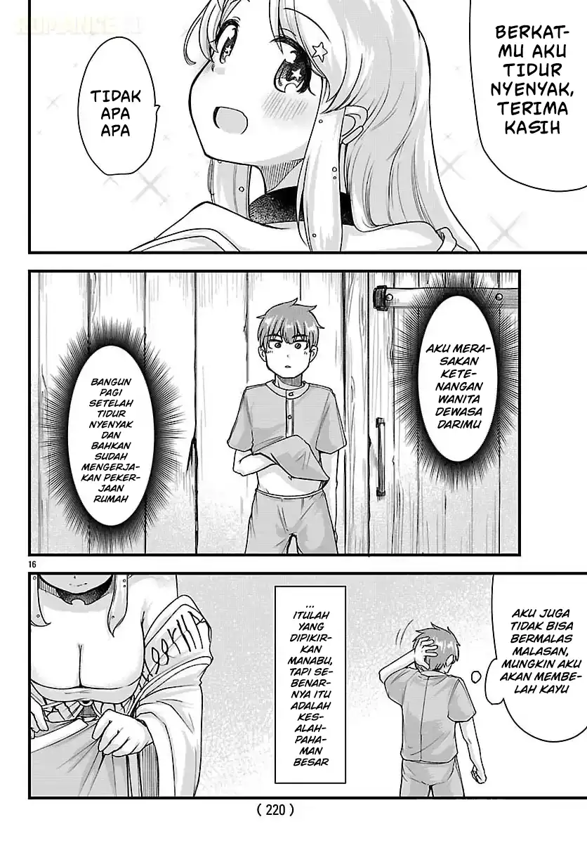 Halaman 17