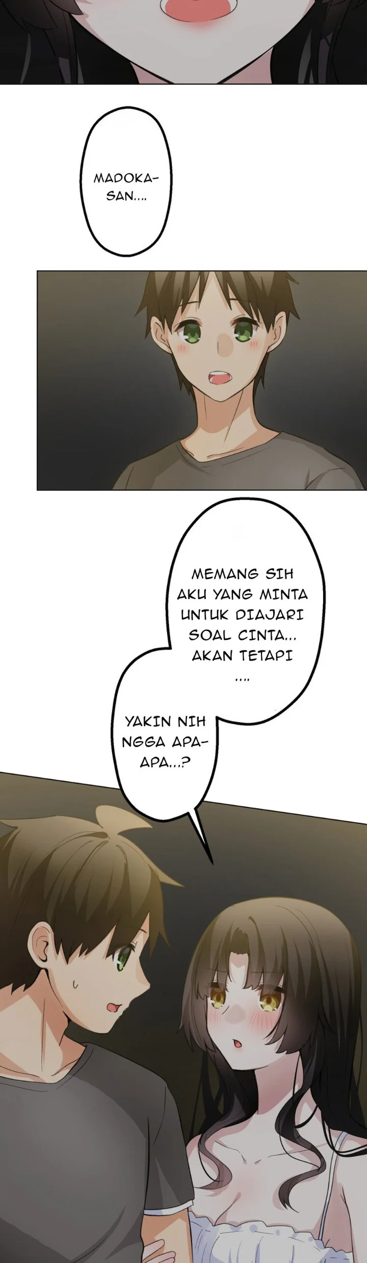 Halaman 17