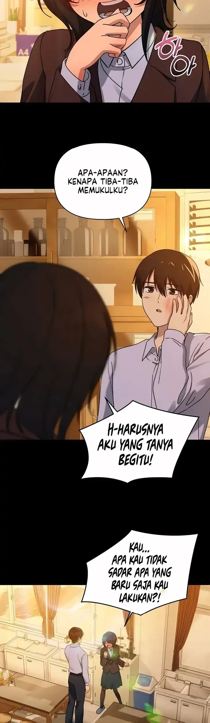 Halaman 17