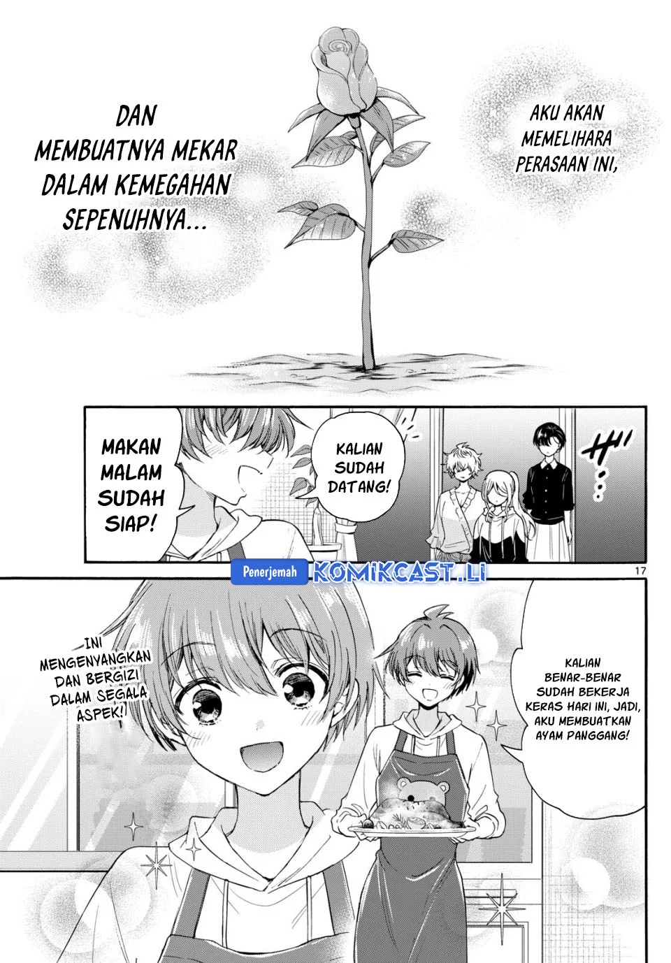 Halaman 17