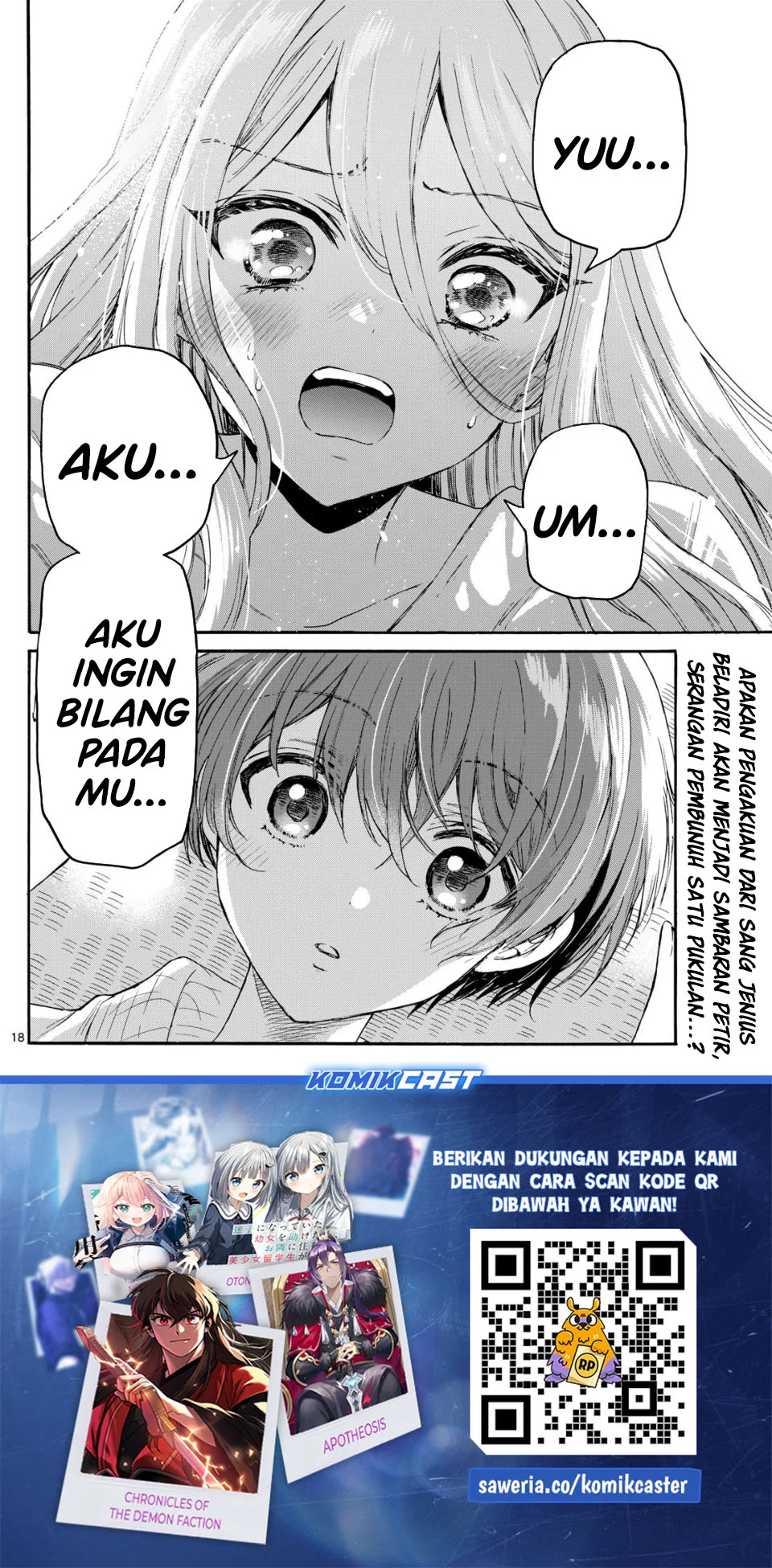 Halaman 17