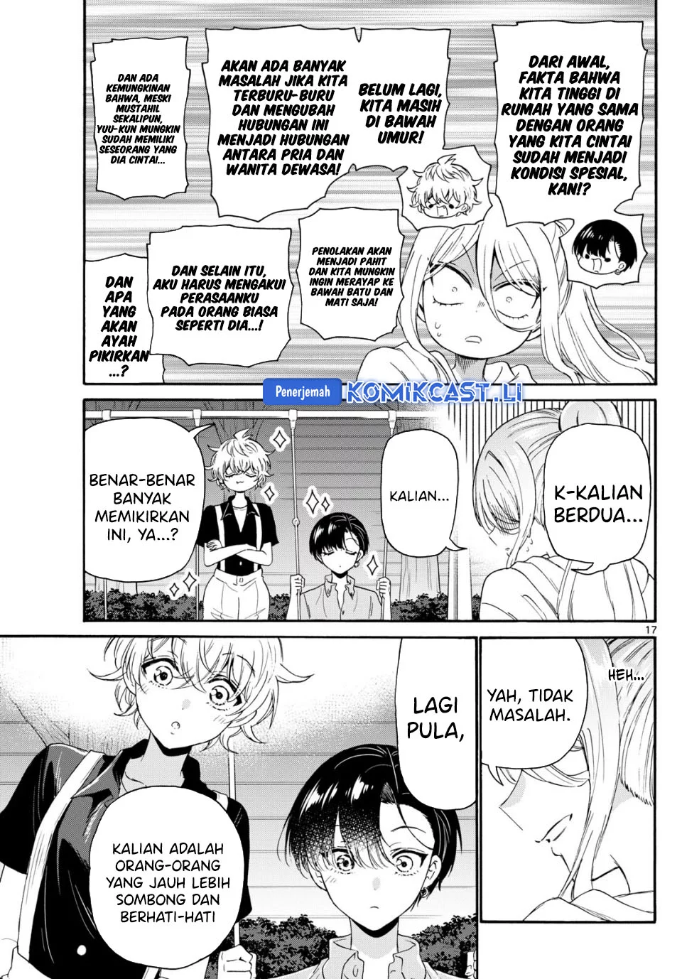 Halaman 17