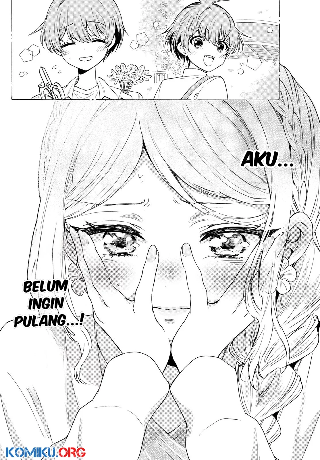 Halaman 17