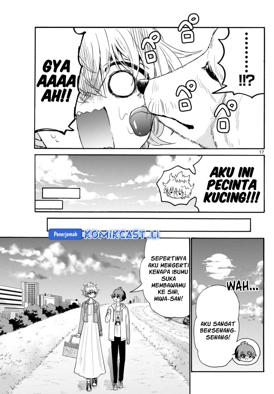 Halaman 17