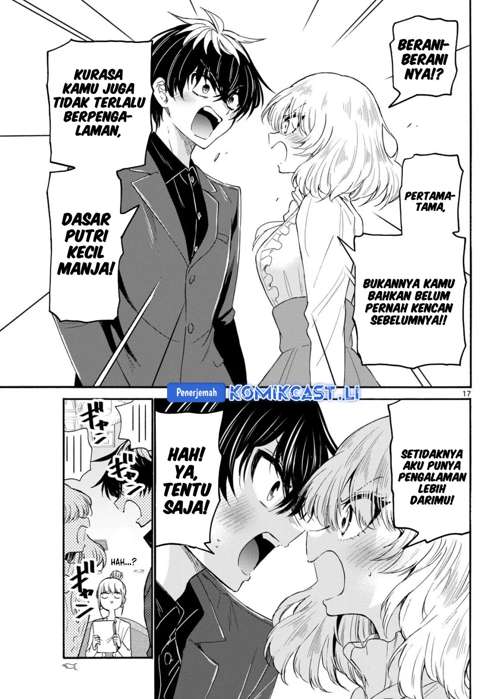 Halaman 17