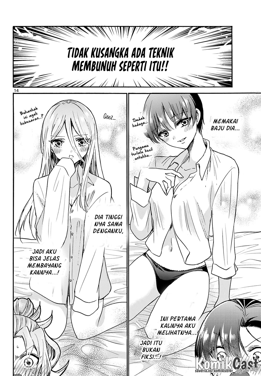 Halaman 14