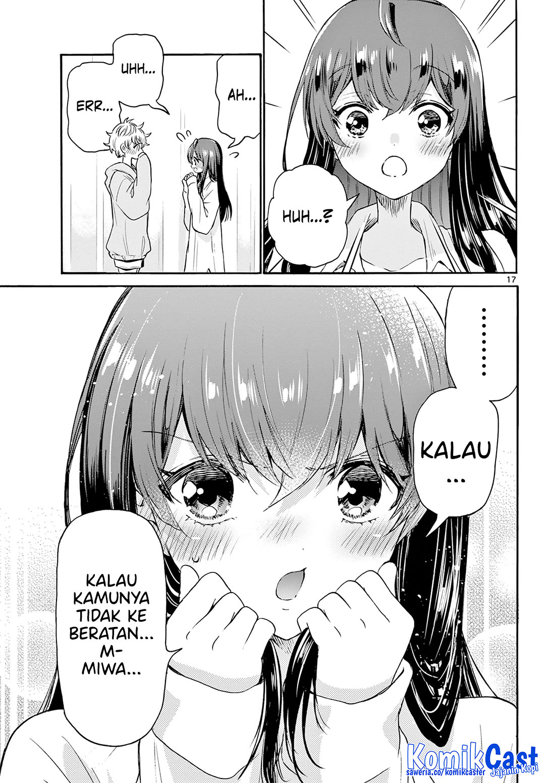 Halaman 17