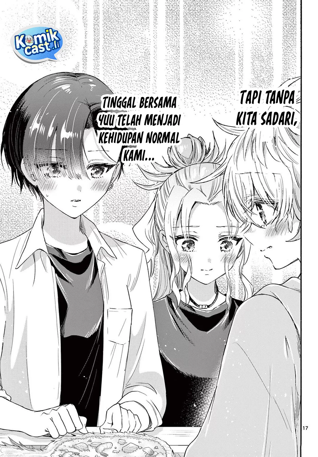 Halaman 17