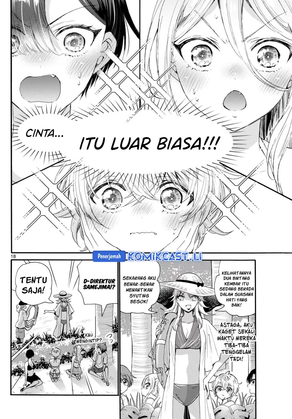 Halaman 17
