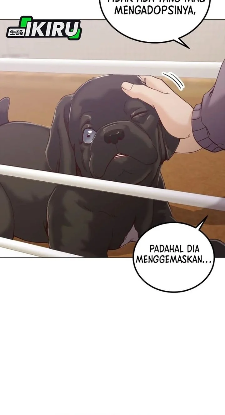 Halaman 53
