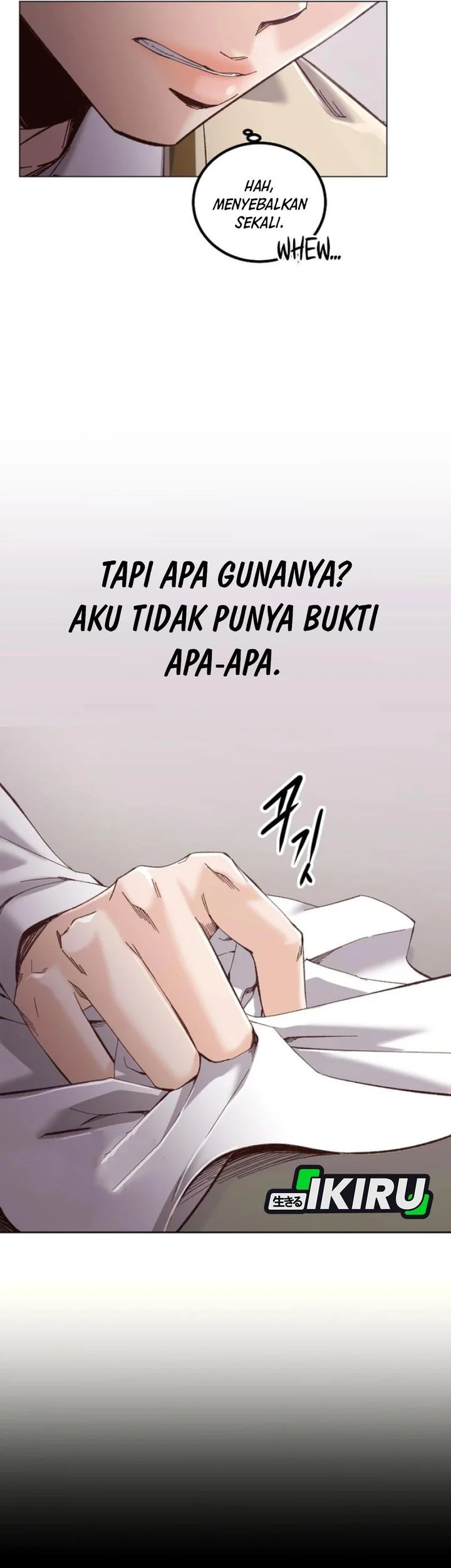 Halaman 17
