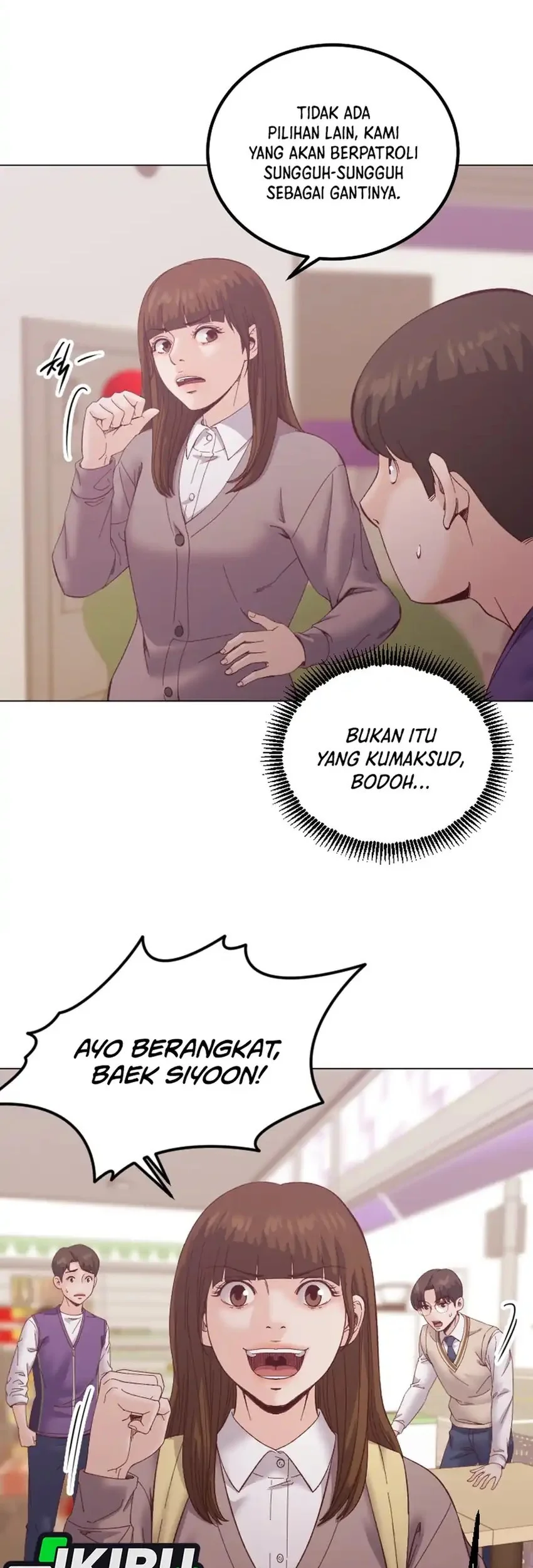 Halaman 17