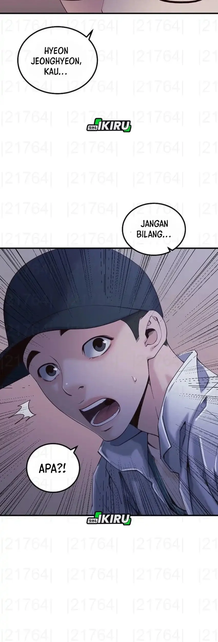 Halaman 24