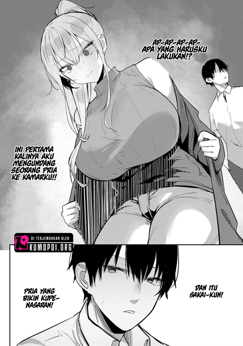 Halaman 17