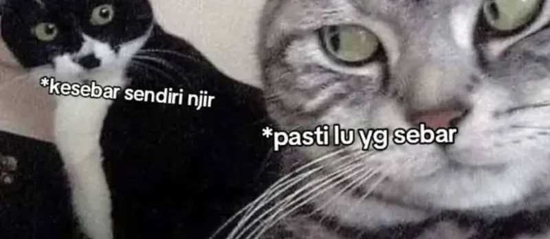 Halaman 46