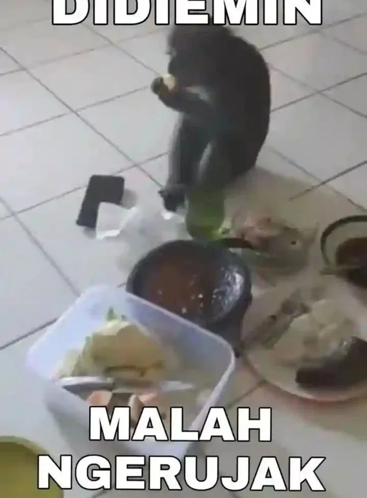 Halaman 42