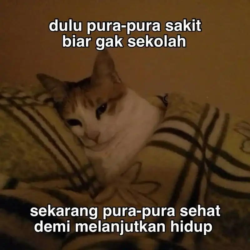 Halaman 172