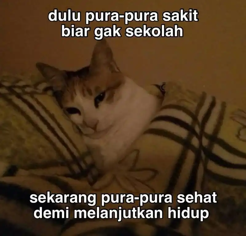 Halaman 91
