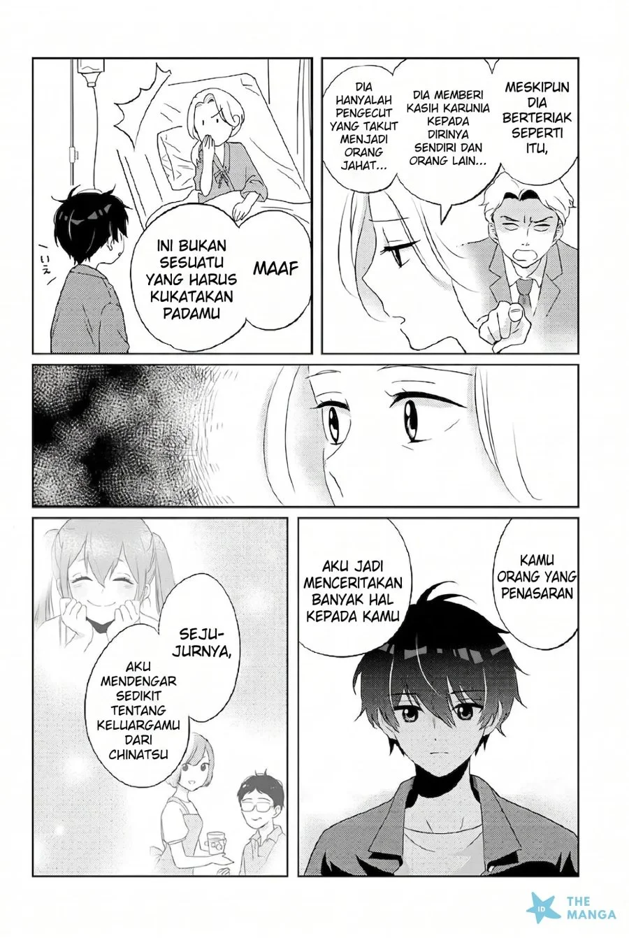 Halaman 17