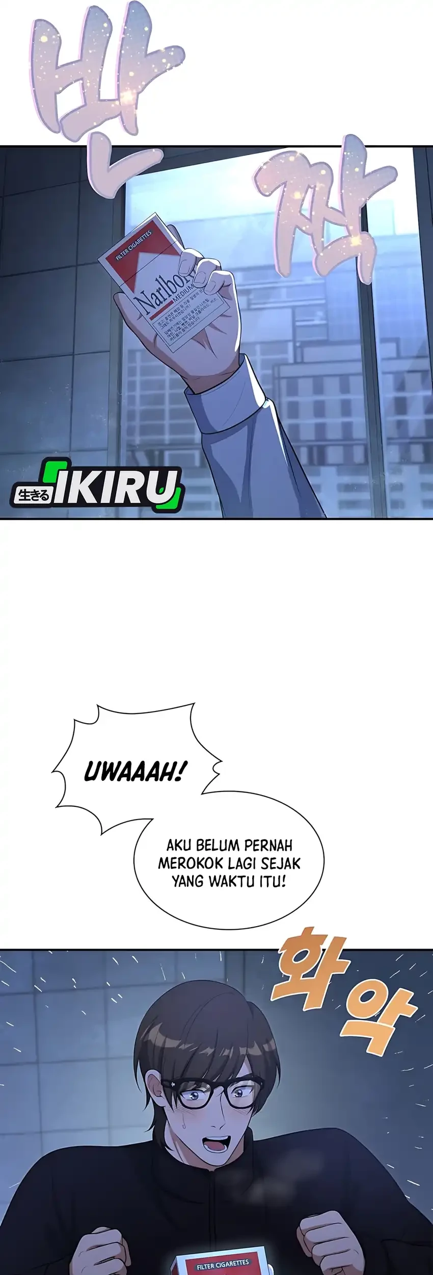 Halaman 43