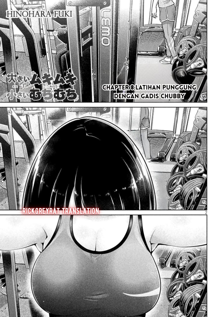 Halaman 17