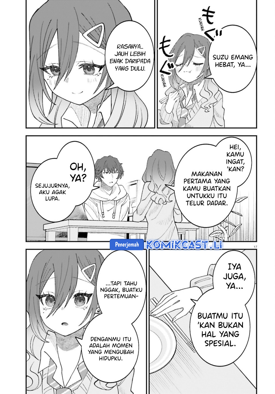 Halaman 17